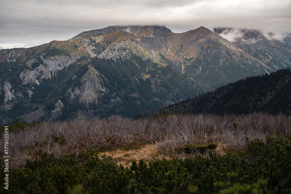 Obraz premium Mountain Range with Cloudy Sky and Forest
