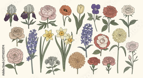 Εκτύπωση καμβά Vintage botanical illustration featuring an assortment of colorful flowers, including roses, tulips, daffodils, and hyacinths