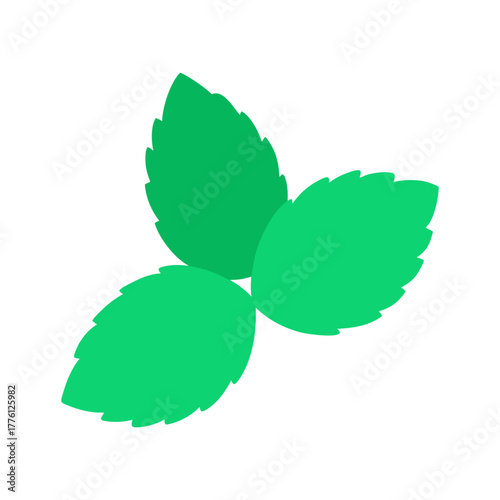 Fresh mint sprig, vibrant aroma and pure essence