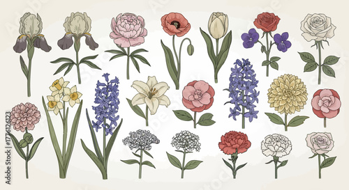 A collection of various flower illustrations, including irises, peonies, poppies, tulips, and roses, arranged in rows.