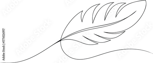 Single line drawing of a feather on white background
