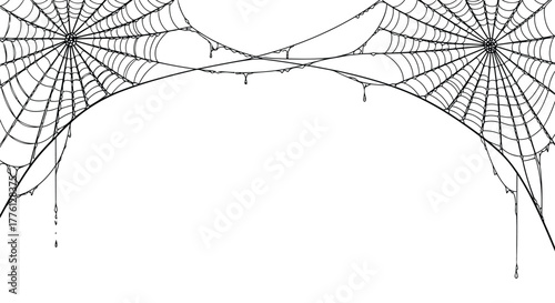 Vector illustration of creepy cobweb decoration