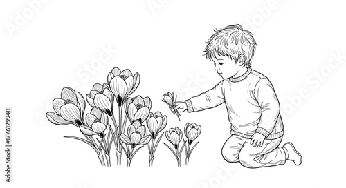 Child admiring crocus flowers in black and white line drawing