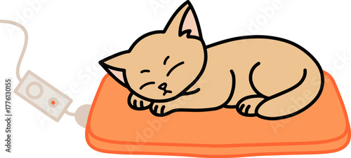 전기장판 고양이