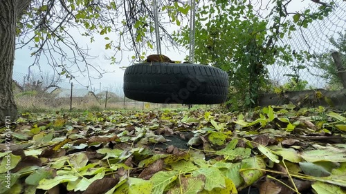 A swinging tire on an autumn walnut tree. High quality 4k footage