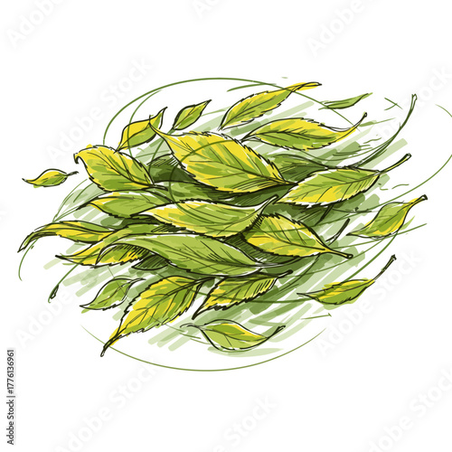 A cluster of green and yellow leaves swirling in a gentle breeze, depicted in a sketch-like illustration.