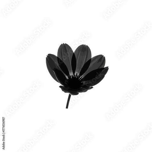 A striking black and white x-ray image of a delicate flower with multiple petals.