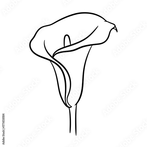 A simple black and white line drawing of a single Calla Lily flower with its distinctive trumpet-shaped spathe and spadix.
