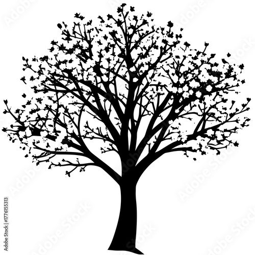 Black silhouette of a deciduous tree with a full canopy of leaves against a white background