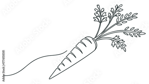 Fresh carrot with vibrant green leaves, perfect for healthy eating and organic food themes