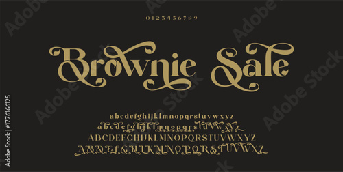 Luxury wedding alphabet font. Typography decorative elegant classic lettering serif fonts vintage retro for logo. vector illustration