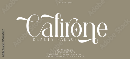 Elegant alphabets font alphabet letters Font. Minimal modern urban fonts for logo, brand etc. Typography vector illustration