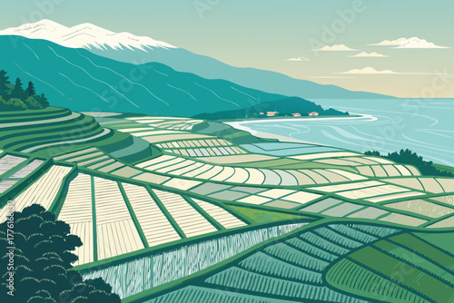 Top view of patterned rice fields, flat geometric.