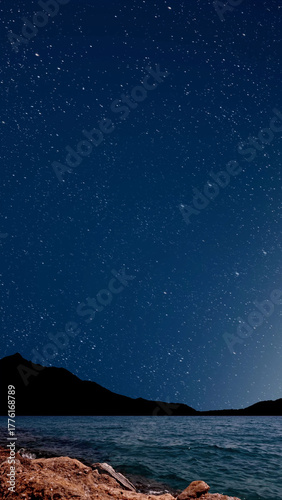 a a movement of stars in the night sky with the view of mountains.