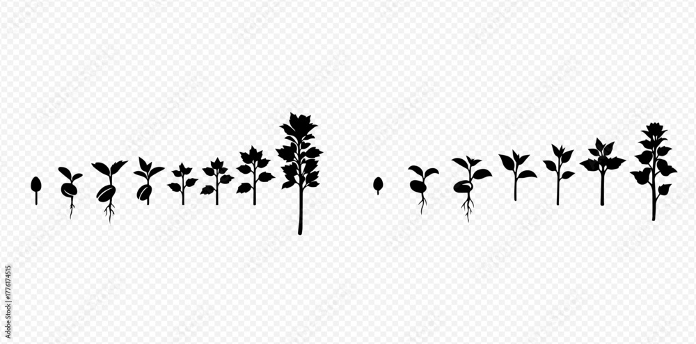 Ταπετσαρία Black and white silhouette illustration depicting the various stages of plant growth from seed germination to a fully developed plant