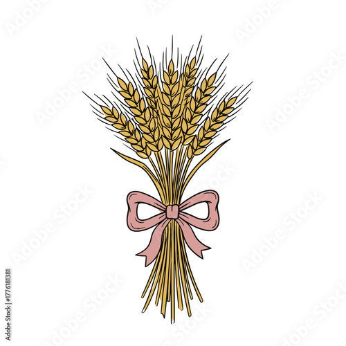 Golden wheat sheaf tied with dusty pink ribbon, harvest vector
