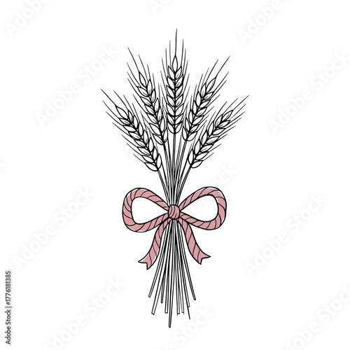 Wheat sheaf with dusty pink ribbon bow, isolated harvest vector