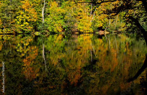 Nature taking on autumn colors