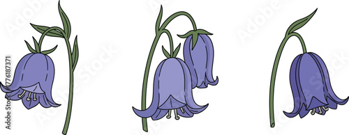 Delicate purple bluebell flowers in three poses on for spring floral designs isolated on transparent background