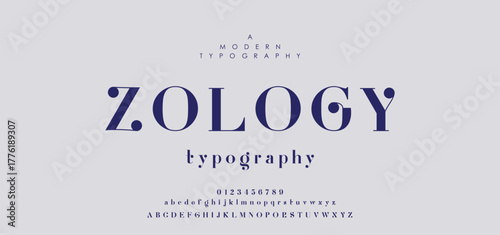 Premium luxury elegant alphabet letters and numbers. Vintage wedding typography classic serif font decorative vintage retro. creative vector illustration