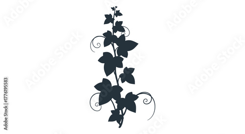 Elegant dark silhouette of a climbing ivy vine with swirling tendrils on a white background
