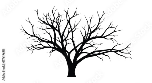 Silhouette of a bare deciduous tree with intricate branching patterns against a white background