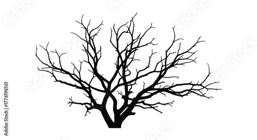 Silhouette of a bare deciduous tree with intricate branching patterns against a white background