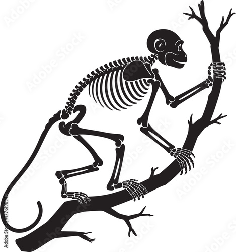 Black vector silhouette monkey skeleton climbing jungle tree branch detailed zoology illustration