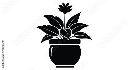 Silhouette of a potted plant with large leaves and a single flower stalk against a white background