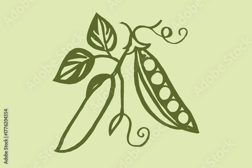 Pea pods with leaves, naive sketch vector illustration