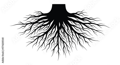 Black silhouette of a tree trunk with a complex sprawling root system spreading outwards against a white background