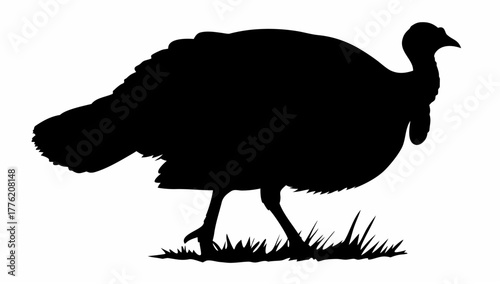 Silhouette of a turkey standing in grass, showcasing its distinctive form and feathered appearance in black