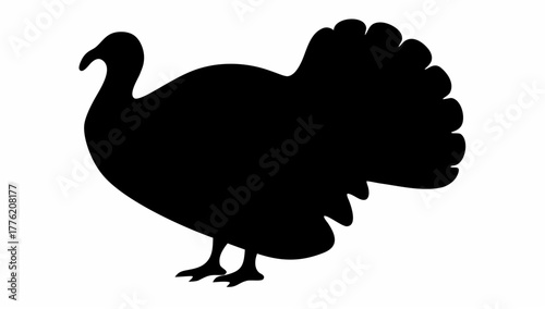 Silhouette of a turkey with detailed feathers and visible legs standing on a white background view from side
