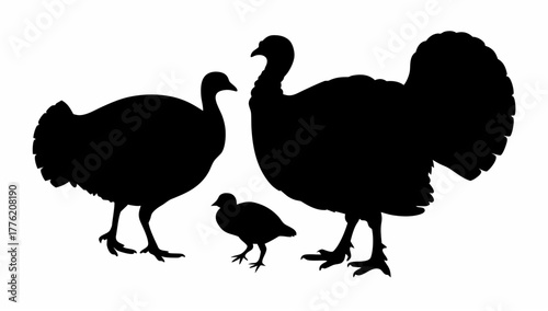 Silhouette illustration depicting a family of turkeys featuring an adult male female and a small chick turkey