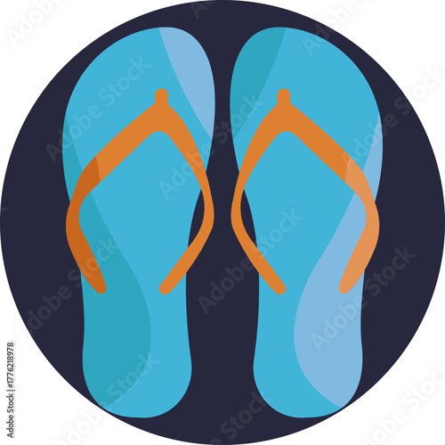 Summer Footwear – A pair of casual flip flops, perfect for walking around the water park.