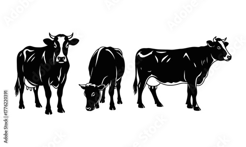 A collection of black and white cow illustrations in different poses. Vector graphic set of farm animals, perfect for dairy or beef branding logos