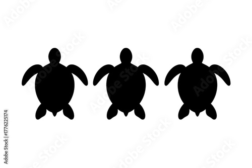 Three sea turtles swimming gracefully in the ocean under bright sunlight