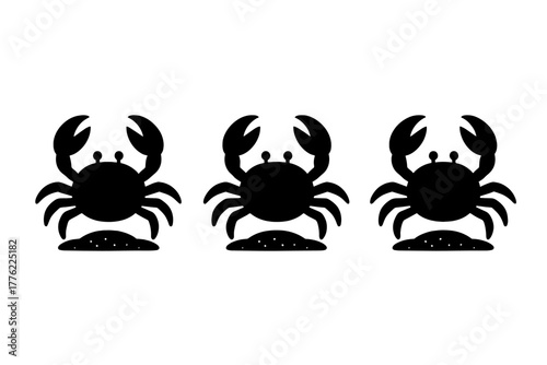 Three crabs walking on the sand during a sunny day at the beach near the shore in summer