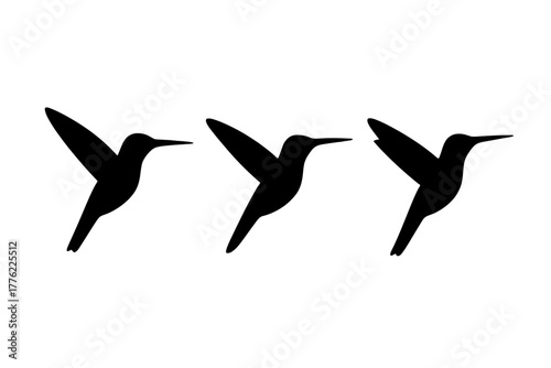 Hummingbirds in flight against a simple background showcasing their agility and grace in motion