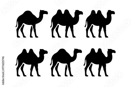 Silhouette of six camels arranged in two rows showcasing different poses against a plain background