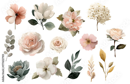 Vintage set of romantic watercolor flowers. Rose flowers, hydrangea, eucalyptus branch and others. Floral elements with branches and leaves for wedding designs and invitations.