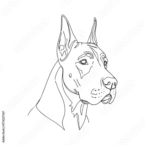 Great Dane dog portrait in elegant vector line art style, detailed head illustration showing strong features and cropped ears, minimalist outline drawing for pet design and tattoo projects
