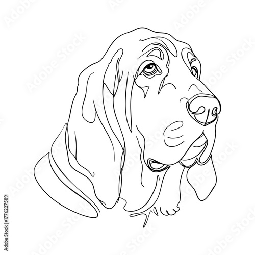 Bloodhound portrait in elegant vector line art, detailed droopy ears and soulful eyes, minimalist outline drawing ideal for pet tattoos or artistic wall prints