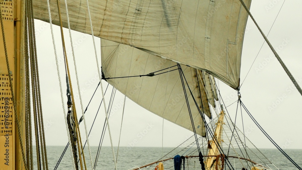 Fototapeta premium an old sailing ship in full sail
