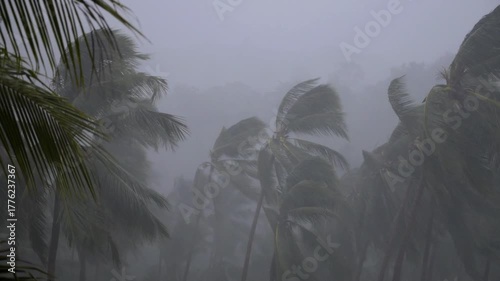 Extreme weather conditions with powerful winds and torrential rain lashing through a tropical jungle, bending palm trees during a dangerous hurricane and creating a dramatic, chaotic scene