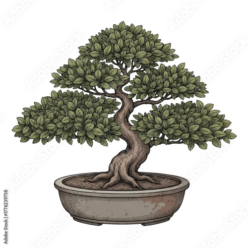 Meticulously Crafted Bonsai Tree in Horticultural Design Displayed in Textured Pot with Minimalist Aesthetic