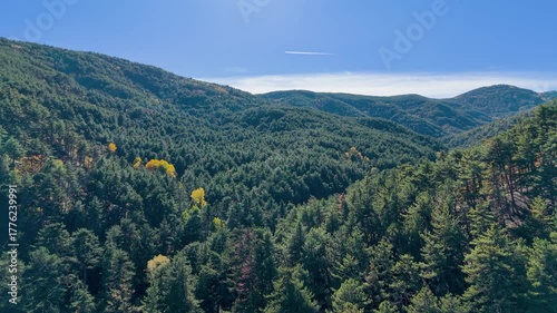 A Stunning Aerial View of an Autumn Forest with a Weather Research Plane Hovering Above