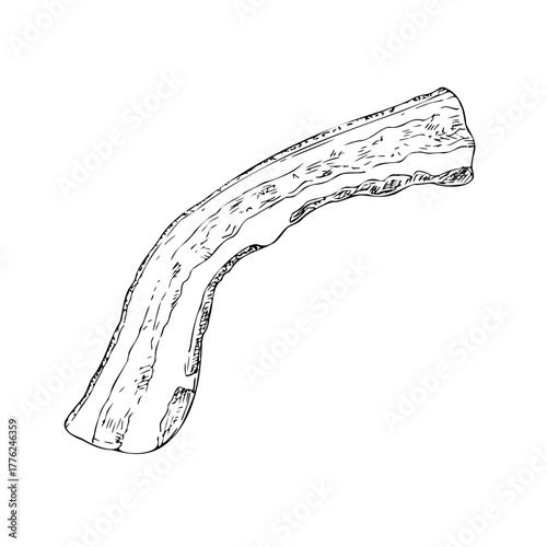 Vector Bacon Strip. Graphic ink pork slice of delicious meat illustration, isolated on background. Hand drawn line sketch. For designers, prints, logo, icon, menu, postcards, holiday, covers