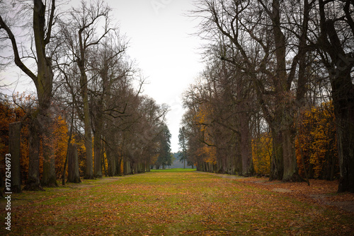 jesień, park pałacowy, arkadia, liście, budynki zabytkowe.  rośliny, polska, 