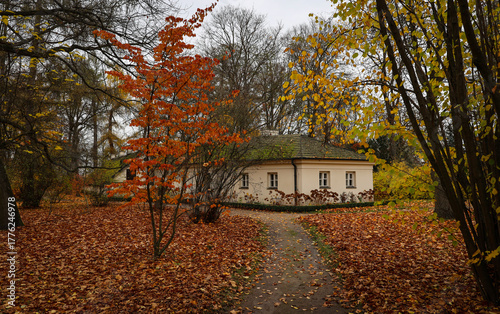 jesień, park pałacowy, arkadia, liście, budynki zabytkowe.  rośliny, polska, 